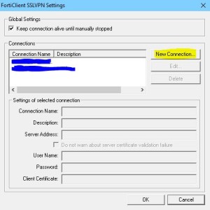 SSL VPN New Connection